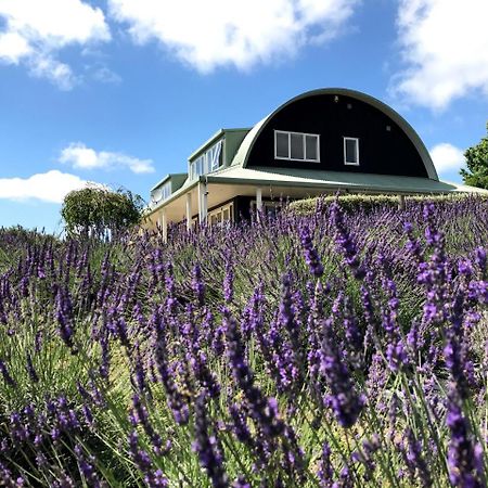 Bed and Breakfast Lavender Hill Riverhead Экстерьер фото