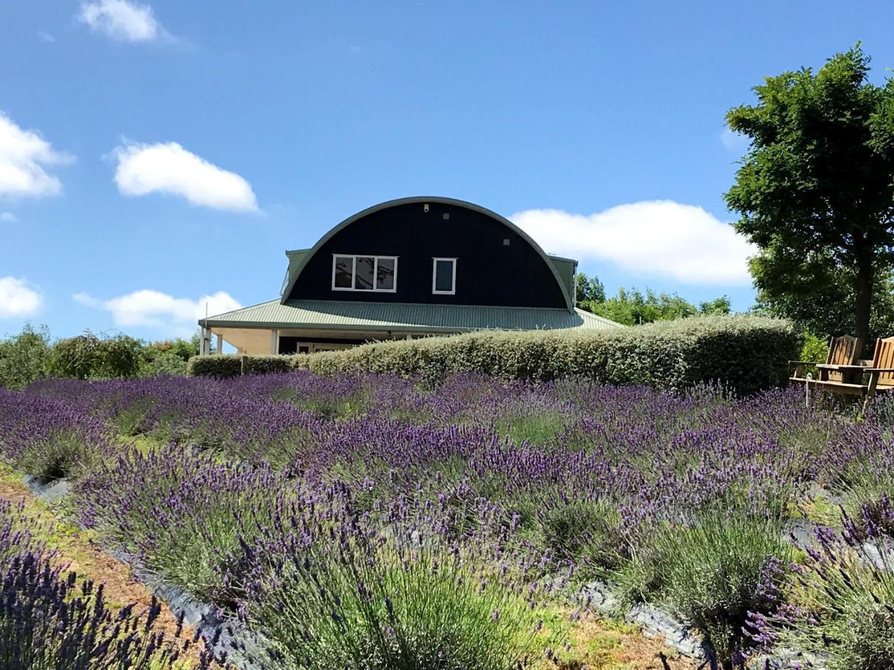 Bed and Breakfast Lavender Hill Riverhead Экстерьер фото