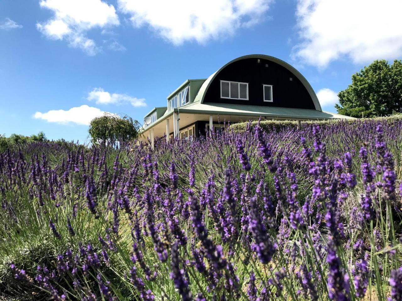 Bed and Breakfast Lavender Hill Riverhead Экстерьер фото